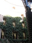 IMG_2229