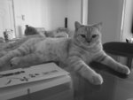 R0010421