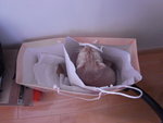 R0010924