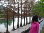 DSC03317