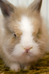 060311_20d_0047