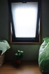 080706_f100_2621