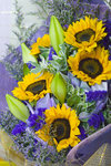 060226_20d_0046