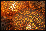 IMG_8101b