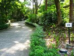 IMG_4454A
