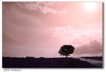 200608Hokkaido-18 640