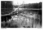 IMG_1669a copy640