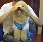 DSCF2105