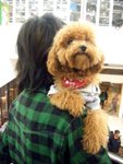 DSCF2674