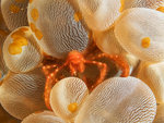 

P4293909