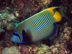 P3230134a