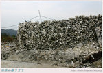 atIMG_1814