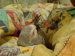 DSC00630