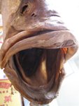 IMG_2075