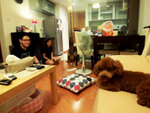 @ Ivan's home