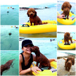 �Ĥ@��swim, ���_�_~~
