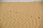_DSC7004_resize