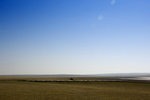 _DSC7383_resize