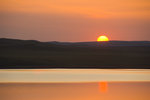 _DSC7718