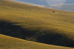 _DSC7815