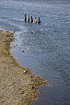 _DSC7860_resize