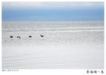 IMG_8616A