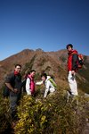 IMG_1184 copy