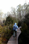 IMG_1543level