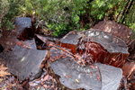 IMG_1556level