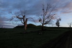 IMG_1691level