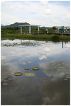IMG_8504_resize