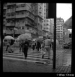 �����N�ܢw�w��E�s�E1997
