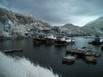 s-IMG_9100