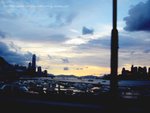 IMG_6852(3)