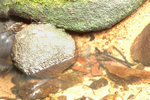 04162006 018 resiaed