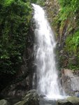 IMG_1198
