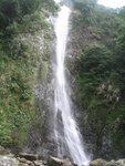 IMG_1241