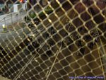 DSC00581