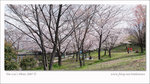 DSCF0766c