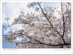 DSCF0856