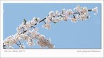 DSCF0896c