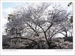 DSCF0934