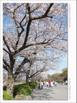 DSCF0942