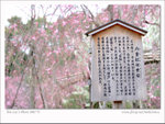 DSCF2093