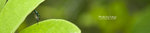 TKY_6388L