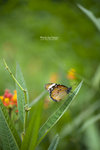 TKY_6484