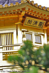 DPP_0032