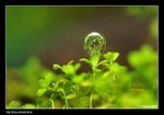 
�g�A�G�ï]�ש󦳤����X�w�w�աI(�}���@�Ӥ�) 