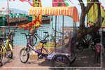 IMG_8557