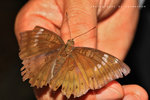 IMG_0150-50